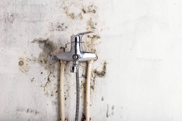 Water Damage Restoration in Valley Park, MO