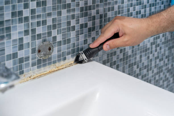 Best Emergency Mold Removal  in Valley Park, MO